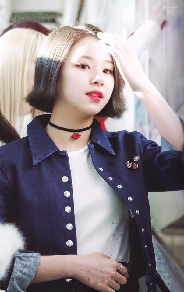 트와이스 두부 꾹꾹이 아기맹수 | 인스티즈