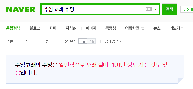 말 안 되는데 말 되는 고래로 늑대잡기.jpgif | 인스티즈