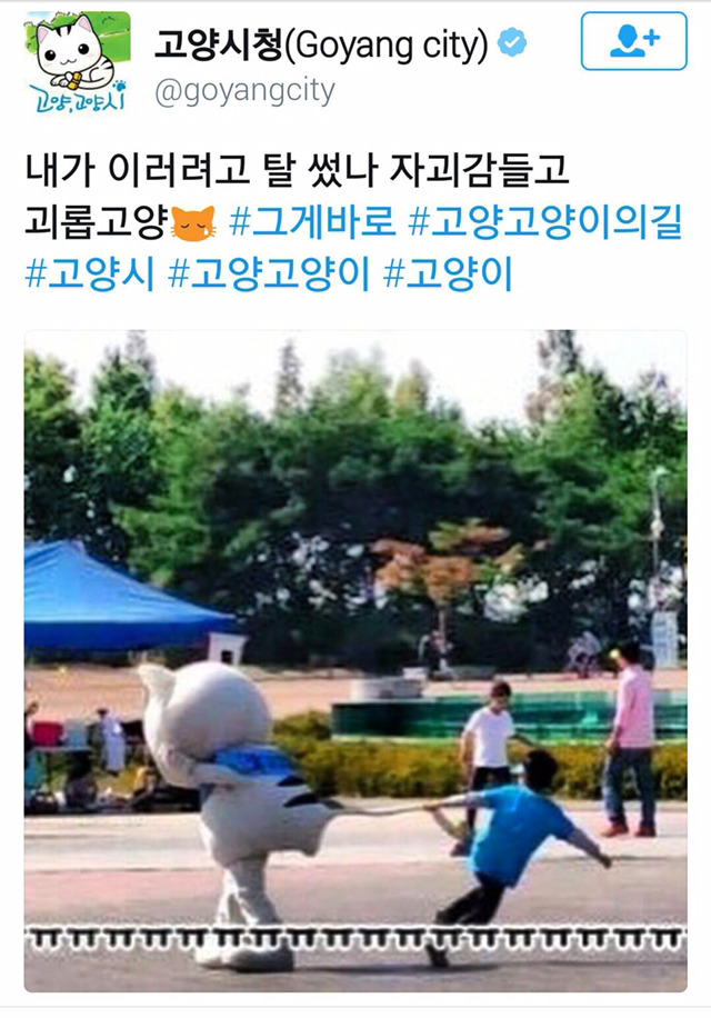 고양시청 근황.jpg | 인스티즈