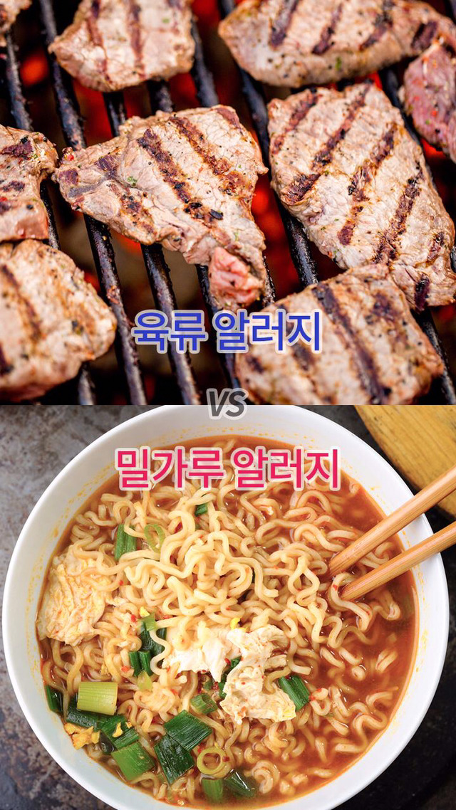둘 중 하나만 고른다면 당신의 선택은? | 인스티즈