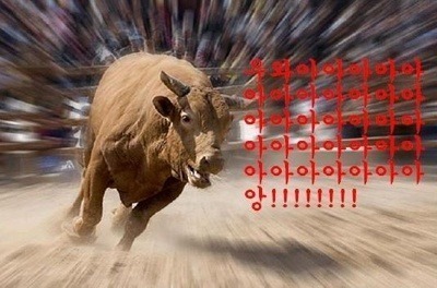황소 이미지