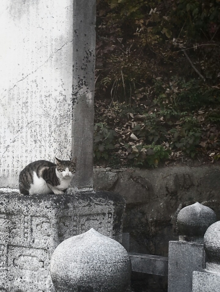 옹글다 이미지