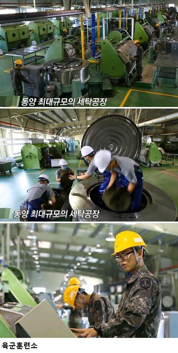 동양세탁 이미지