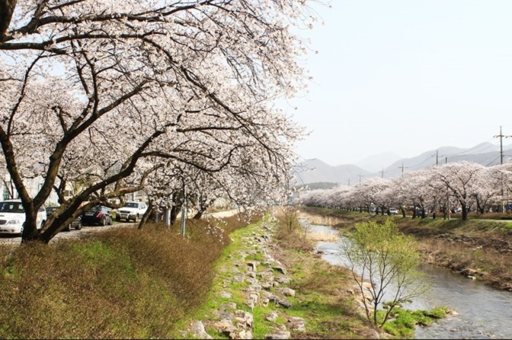 레드페이스평택 이미지