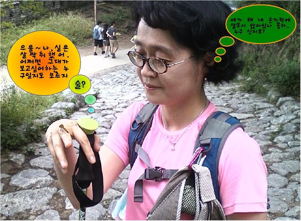 사진기억 이미지