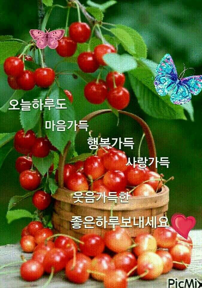 빵긋 이미지