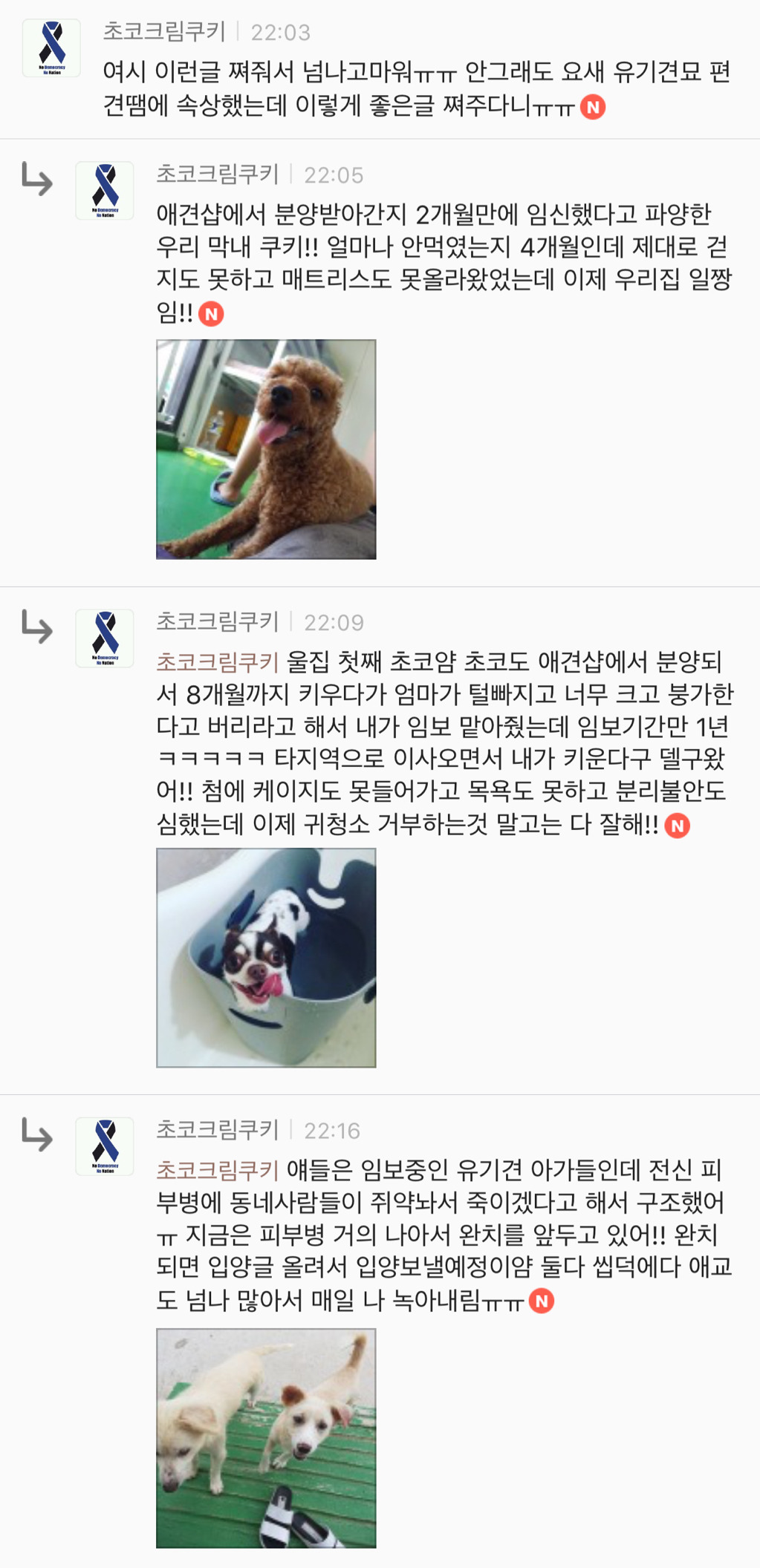 유기견 입양은 좀 꺼려져; 문제가 있어서 버려진 애들 아냐? | 인스티즈