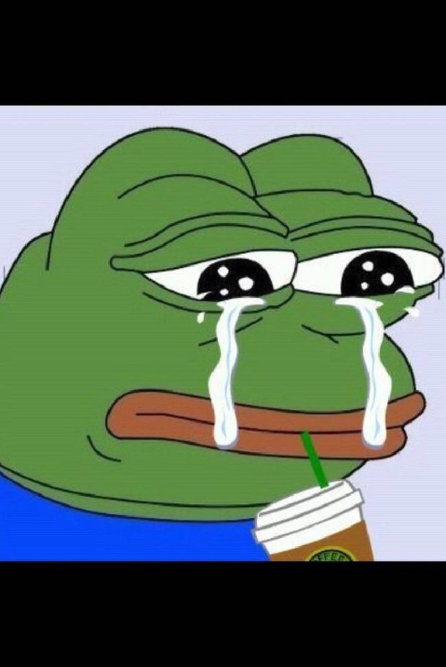 개구리 짤들 | 인스티즈