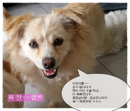 햅번 이미지