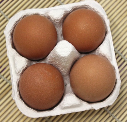 비타민이야기 이미지