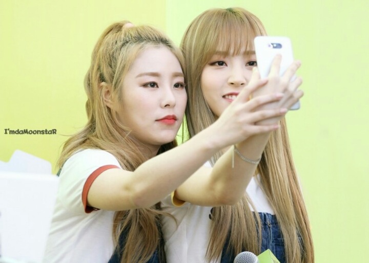 지빠 이미지