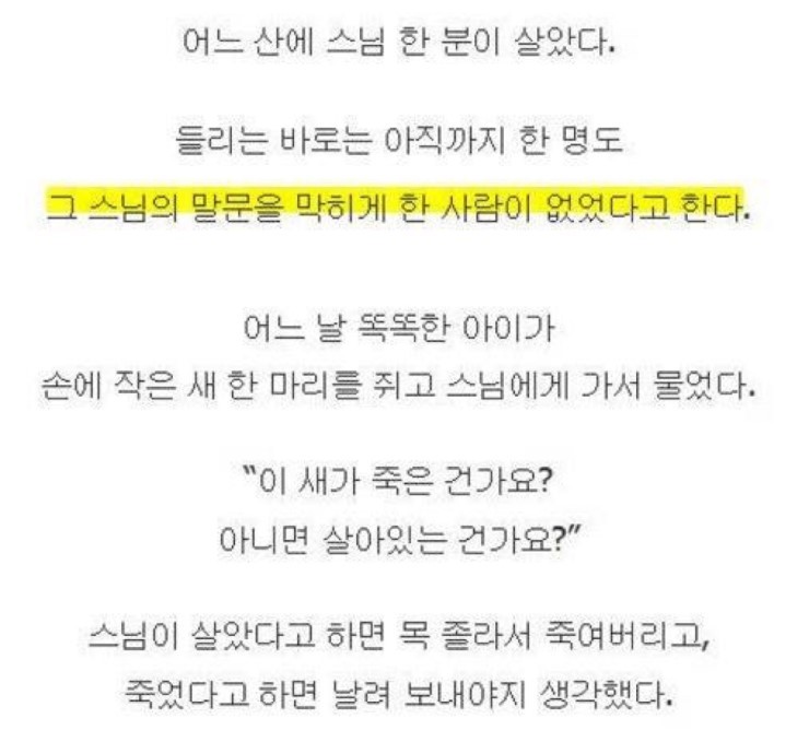 어느 스님의 우문현답.txt | 인스티즈