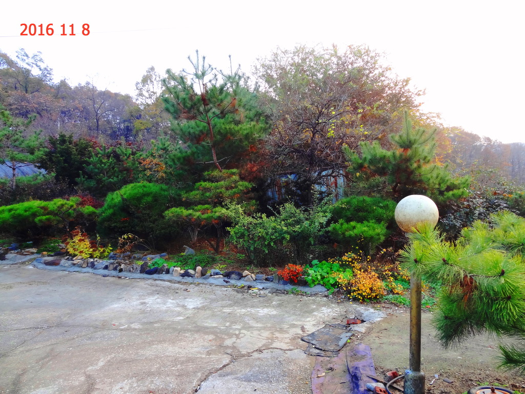 미류조경관리 이미지