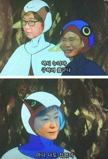 닭우리 이미지