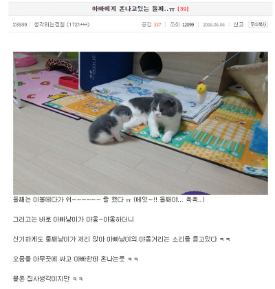 아빠에게 혼나고있는 둘째 ; | 인스티즈