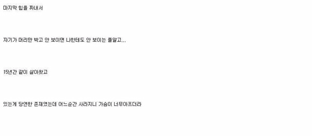강아지가 우리 곁을 떠날 때 | 인스티즈