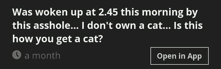 다들 이렇게 고양이를 얻는건가?.jpg | 인스티즈