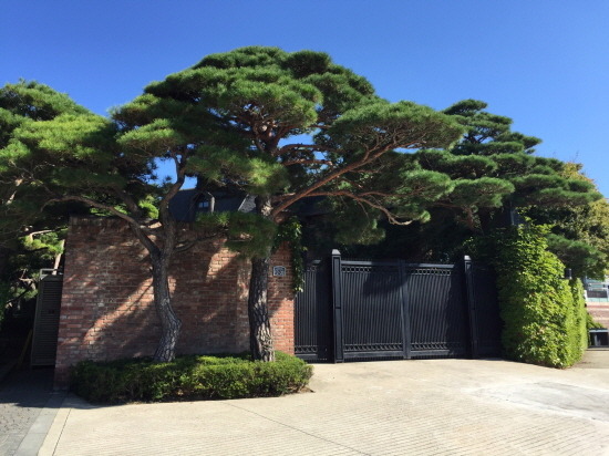 우리나라에서 가장 비싼집 TOP5 | 인스티즈