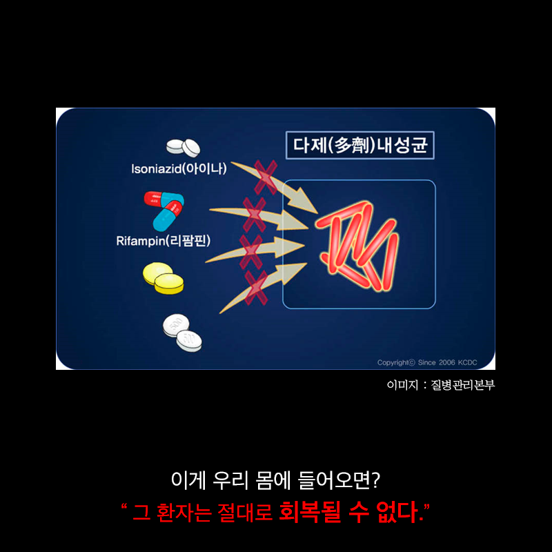 항생제의 역습 | 인스티즈