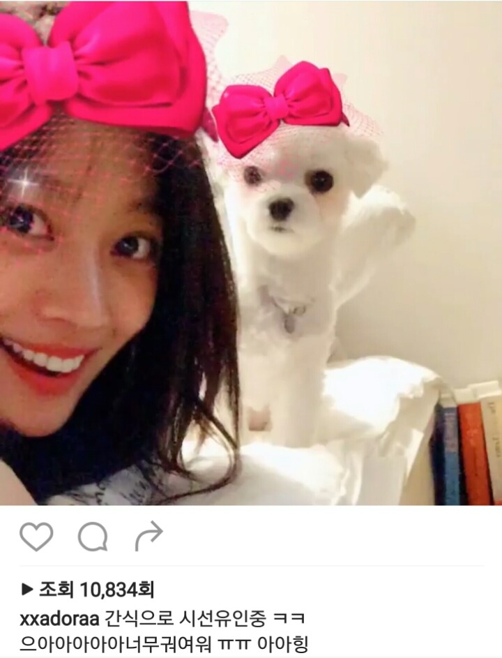 조보아 인스타 업뎃 | 인스티즈