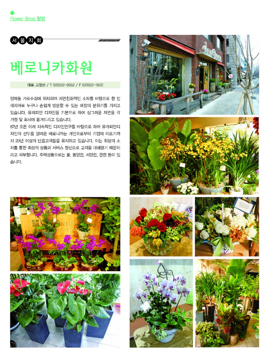 베로니카화원 이미지