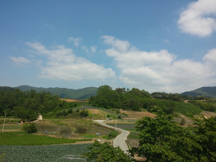 가나수산 이미지
