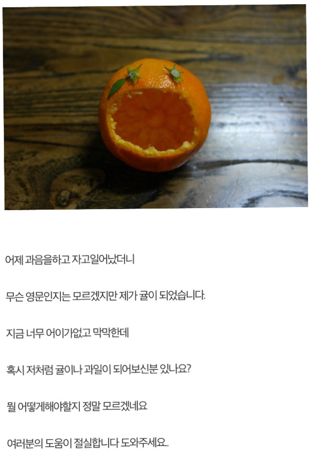 창의력 돋는 허언증갤 | 인스티즈