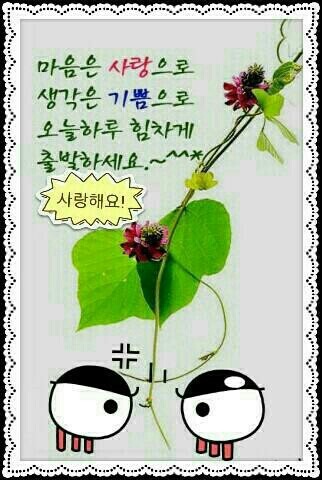 넌나의봄이다 이미지