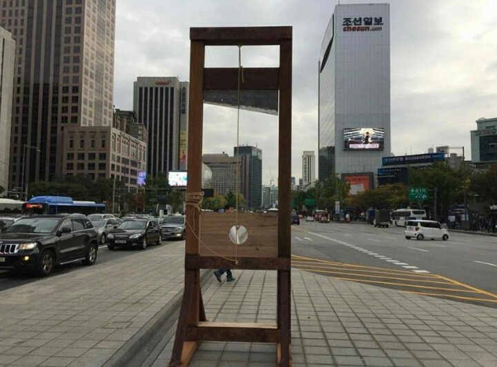 새롭게 등장한 우리나라 시위의 상징 | 인스티즈