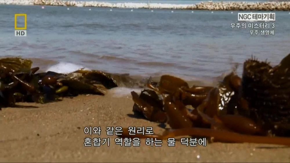 과학자들의 외계 생명체를 찾기위한 노력들.jpg | 인스티즈