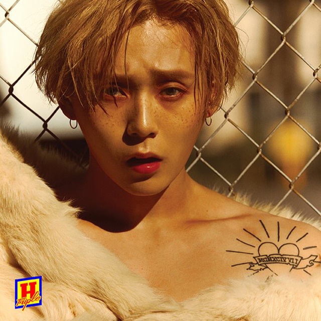 트리플에이치 이미지