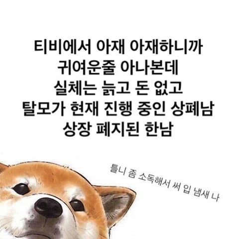 인스타그램의 계정ㅋㅋㅋㅋㅋ | 인스티즈