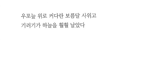 양민주 이미지