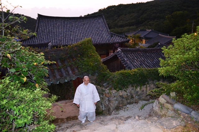사십이 이미지