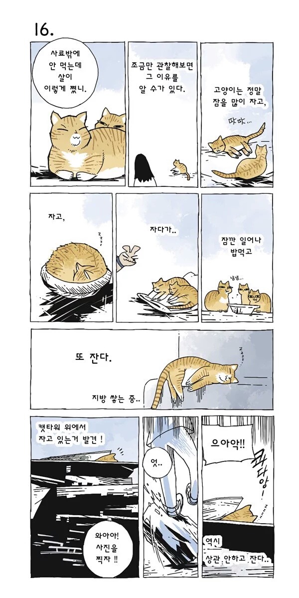 고양이 여덟마리와 사는만화 | 인스티즈