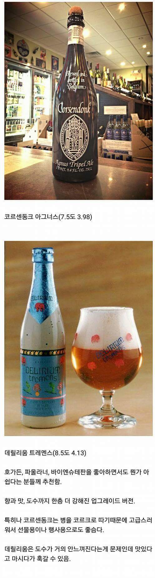 맥주 덕후들이 추천하는 맥주 | 인스티즈