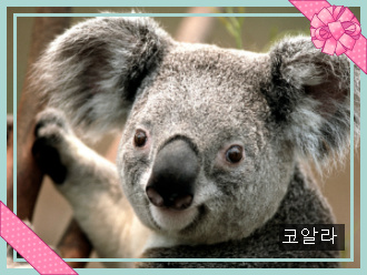 대불컴퓨터 이미지