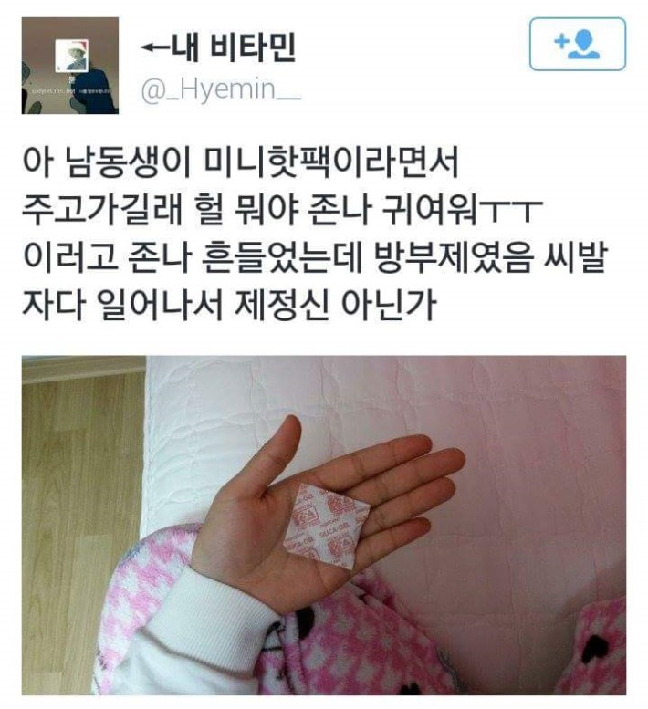 동생이 주고간 미니핫팩 | 인스티즈