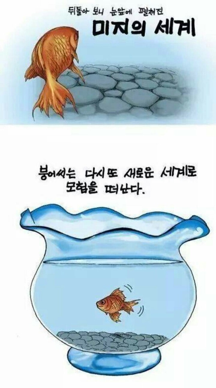 ㅋㅋㅋ 괜히 붕어가 아님 | 인스티즈