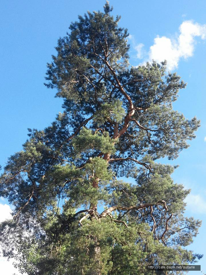 232086365783971531D843