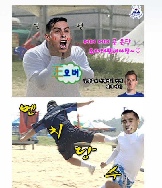 오늘자 에버튼 다음 팬카페 메인 | 인스티즈
