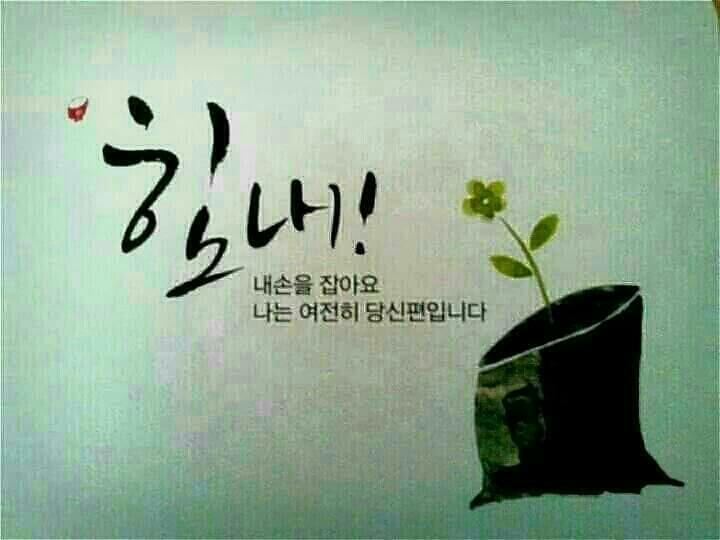 나무가족 이미지