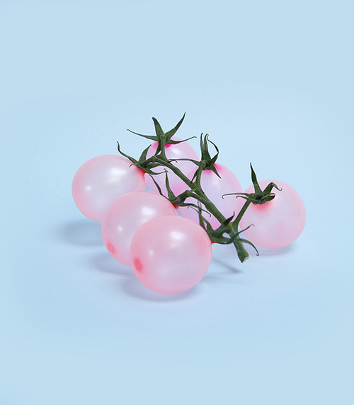 색다른 해석으로 찍어낸 독특하고 컬러풀한 사진들 | 인스티즈