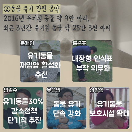 대선후보 5인의 반려동물 공약 | 인스티즈