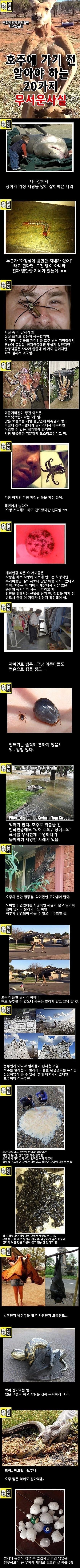호주의 20가지 무서운 사실 | 인스티즈