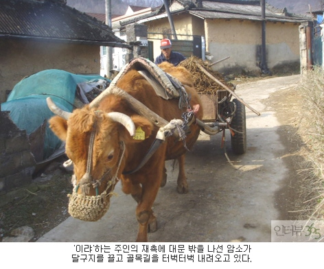 소달구지 이미지
