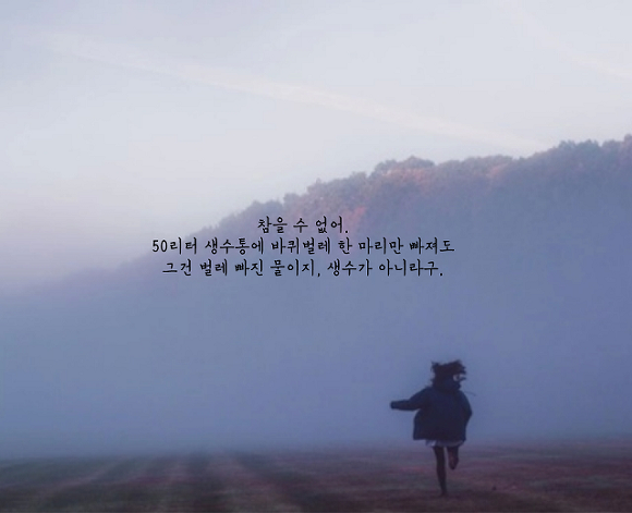  세상에는 나를 아껴주는 사람이 없고 나 역시 아무도 아끼지 않는다 | 인스티즈