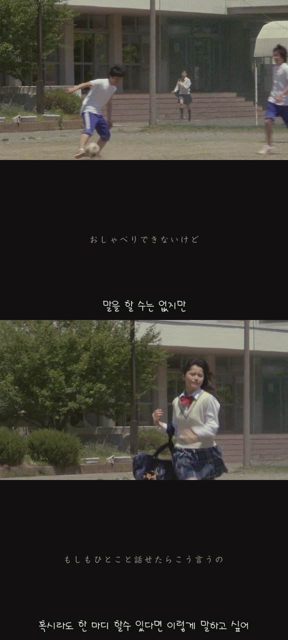 강아지의 삶 | 인스티즈