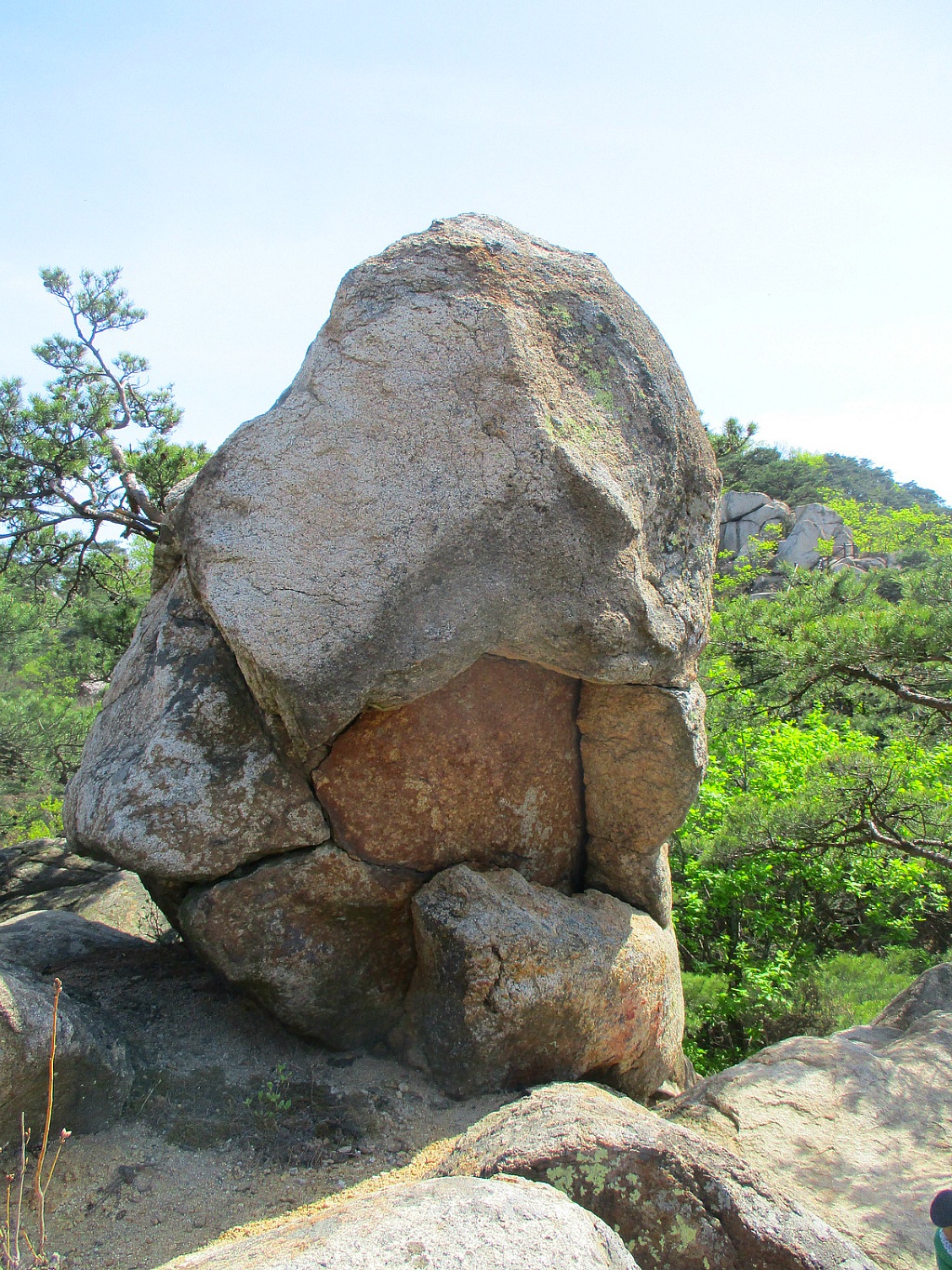 천우사 이미지