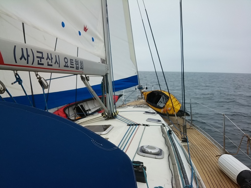 피싱킹 이미지